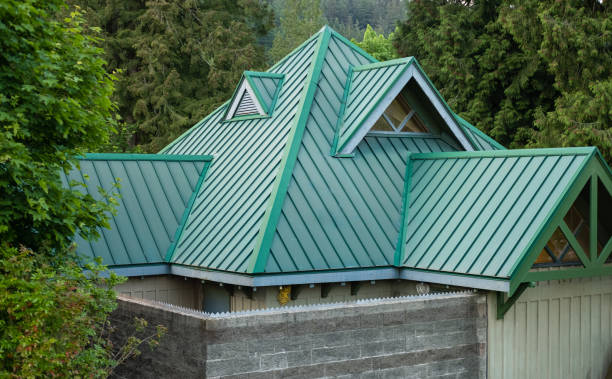 Best Sheet Metal Roofing  in Waimea, HI