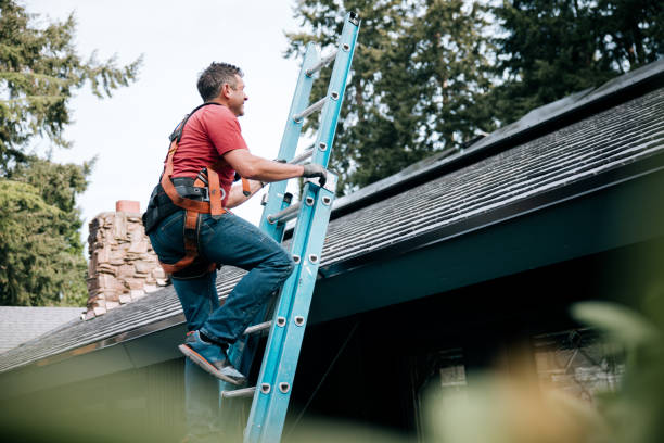 Best Asphalt Shingle Roofing  in Waimea, HI